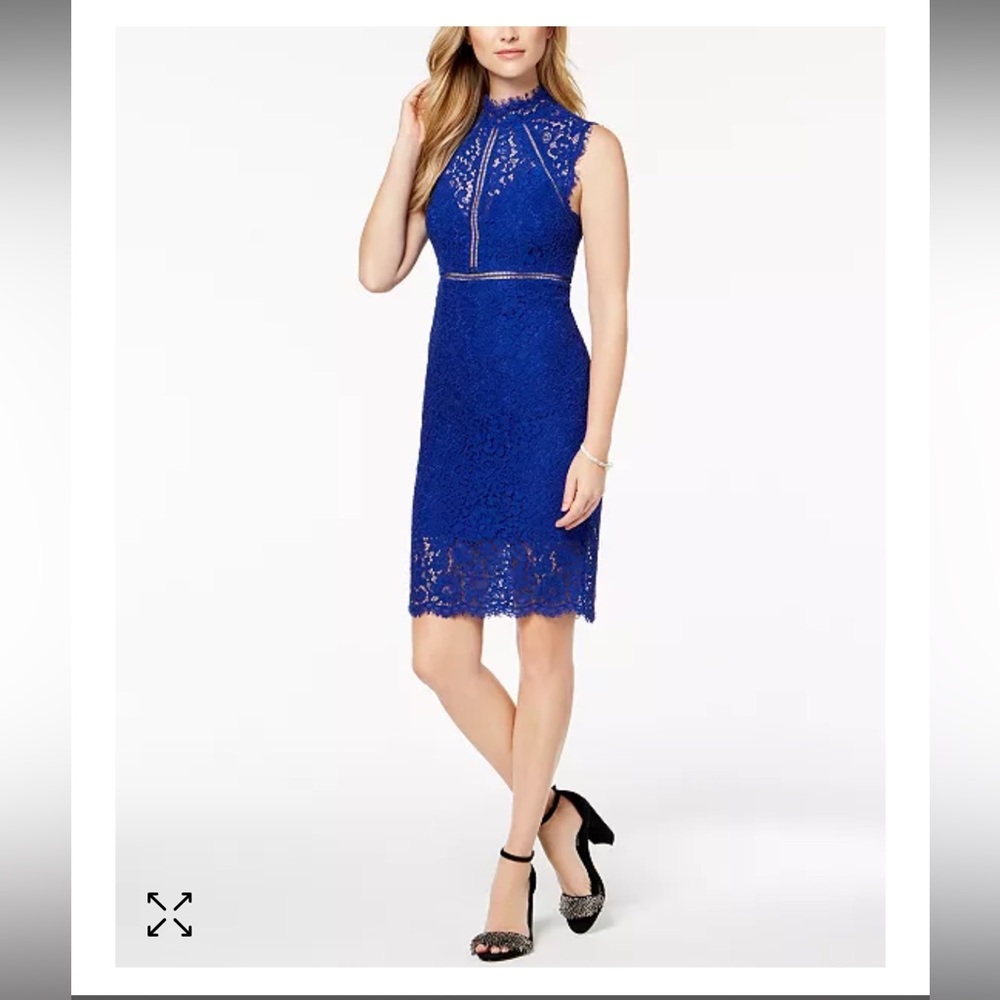 Bardot Lace Illusion Sheath Dress